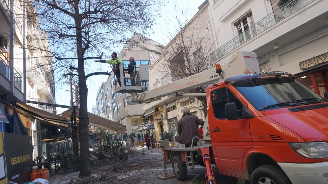 Δ. Λαρισαίων: Κλαδέματα δένδρων στο κέντρο της πόλης 